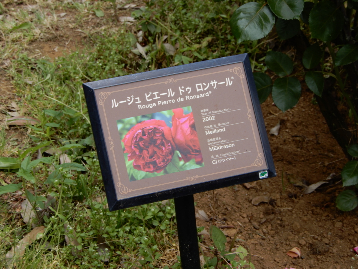 f:id:rotling:20190519121204j:plain