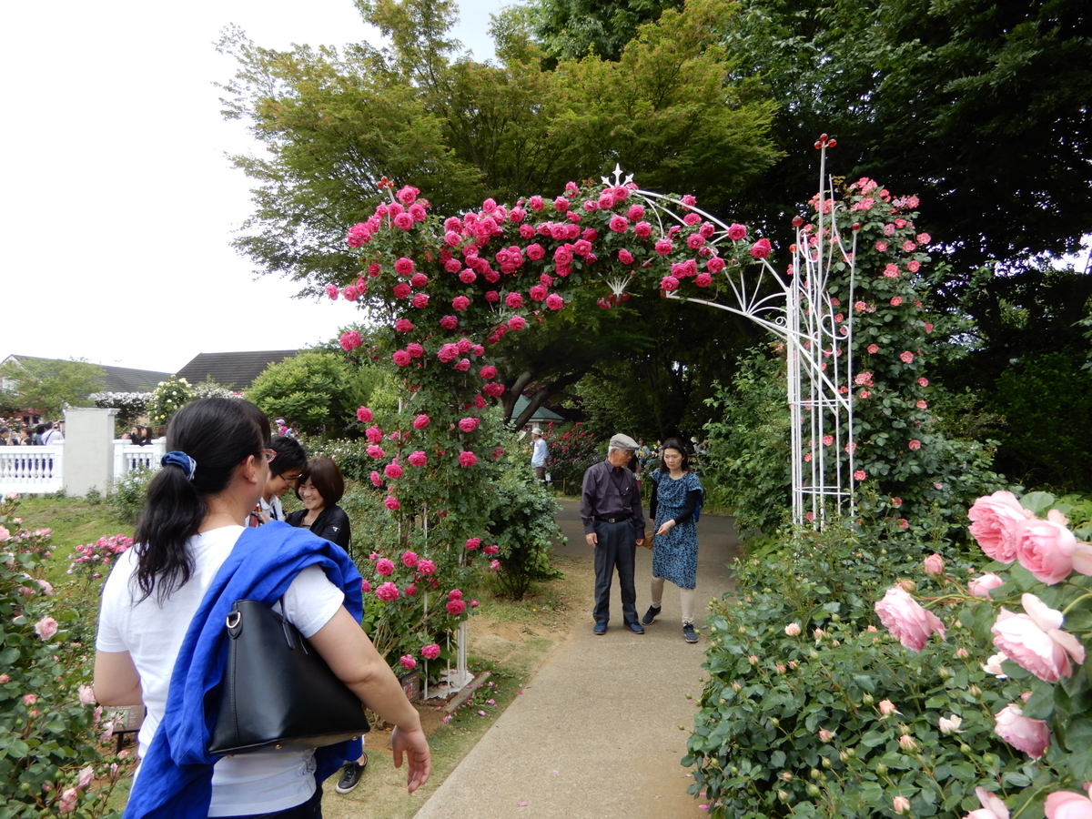 f:id:rotling:20190519121223j:plain