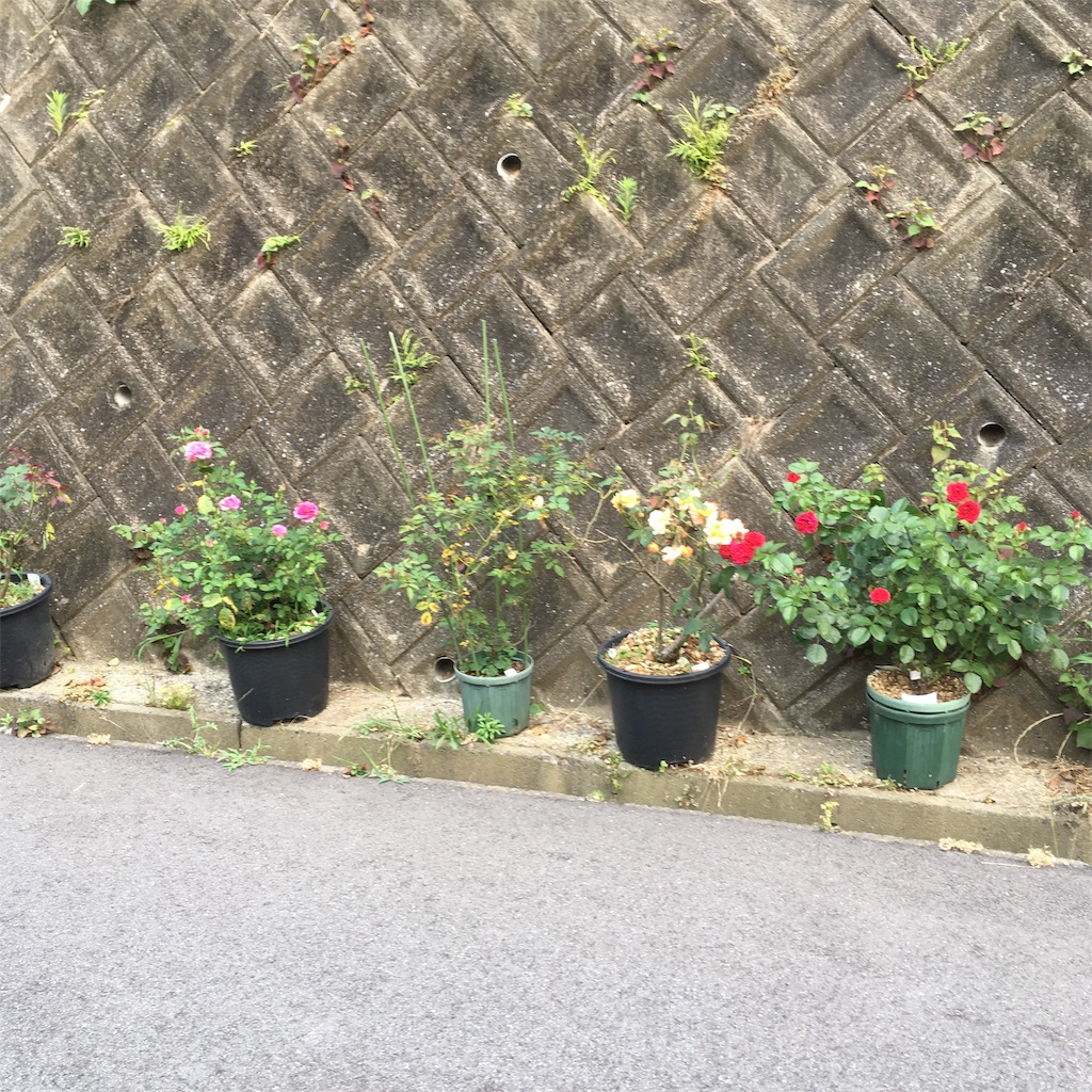 f:id:rotling:20190621182322j:image