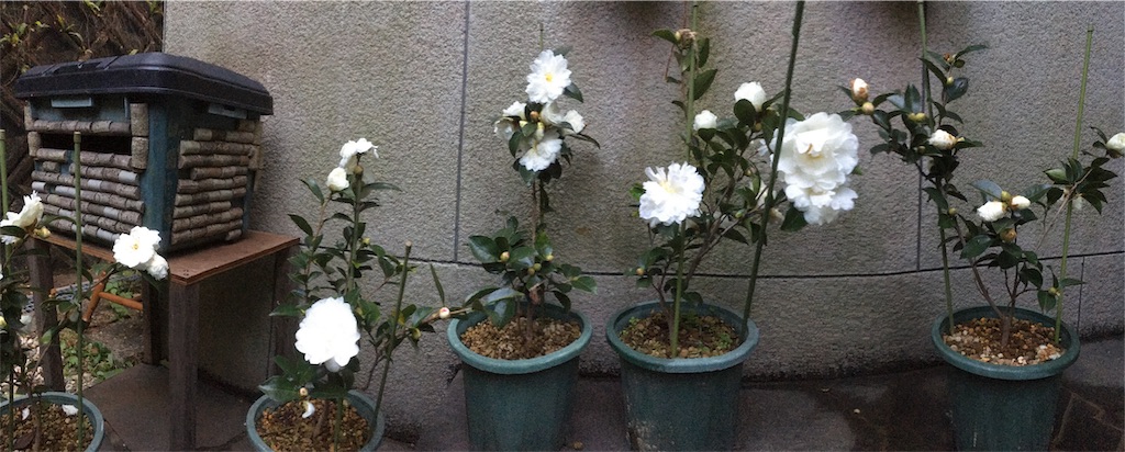 f:id:rotling:20191118175651j:image