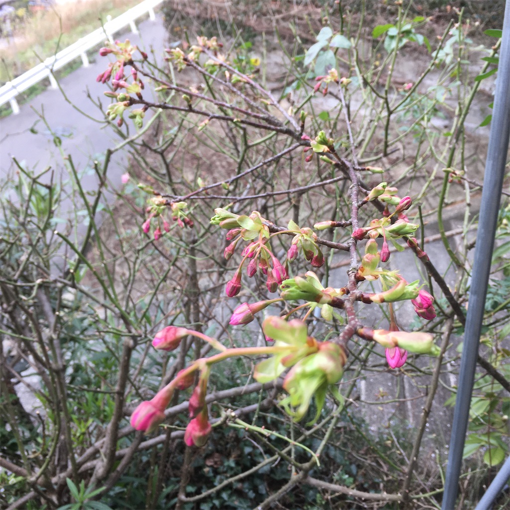 f:id:rotling:20200207163834j:image