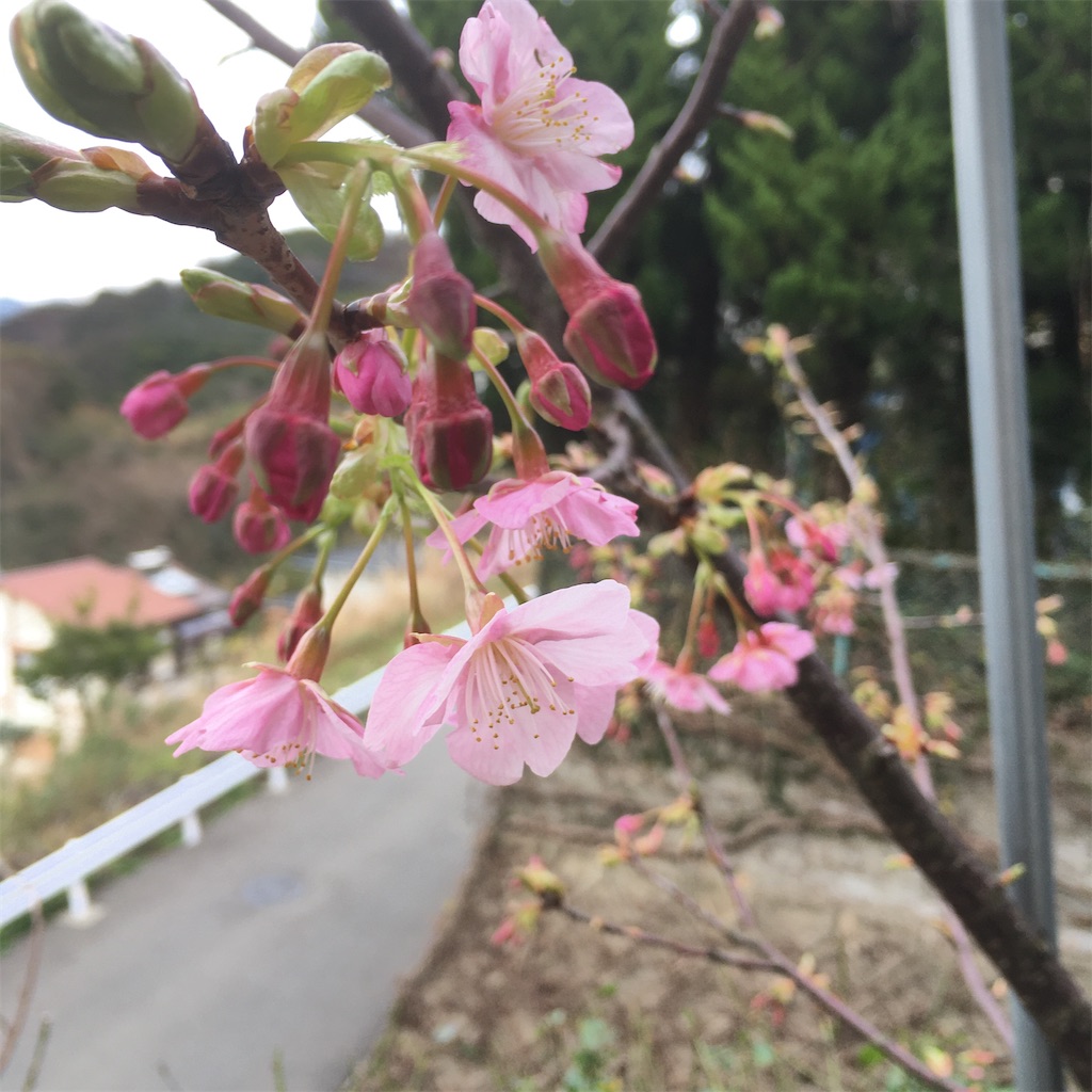 f:id:rotling:20200207163837j:image