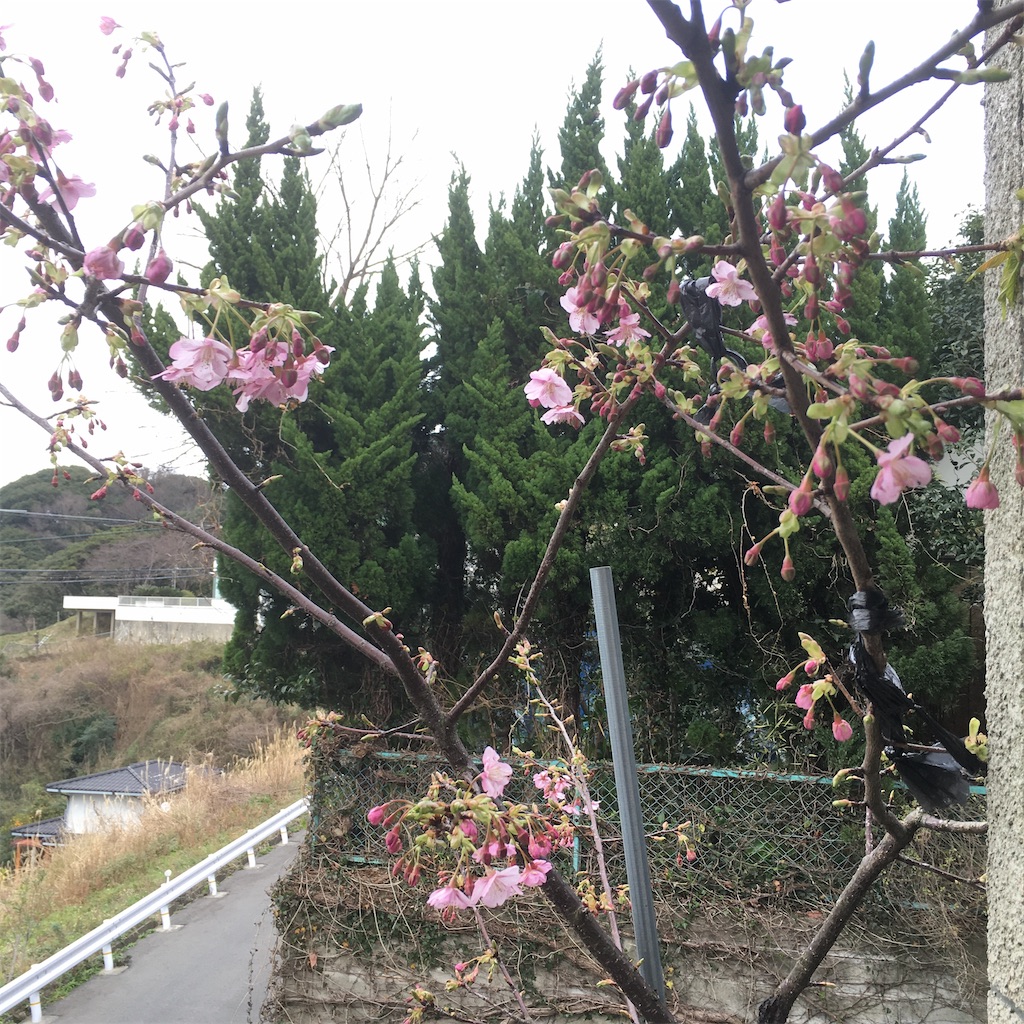 f:id:rotling:20200207163840j:image