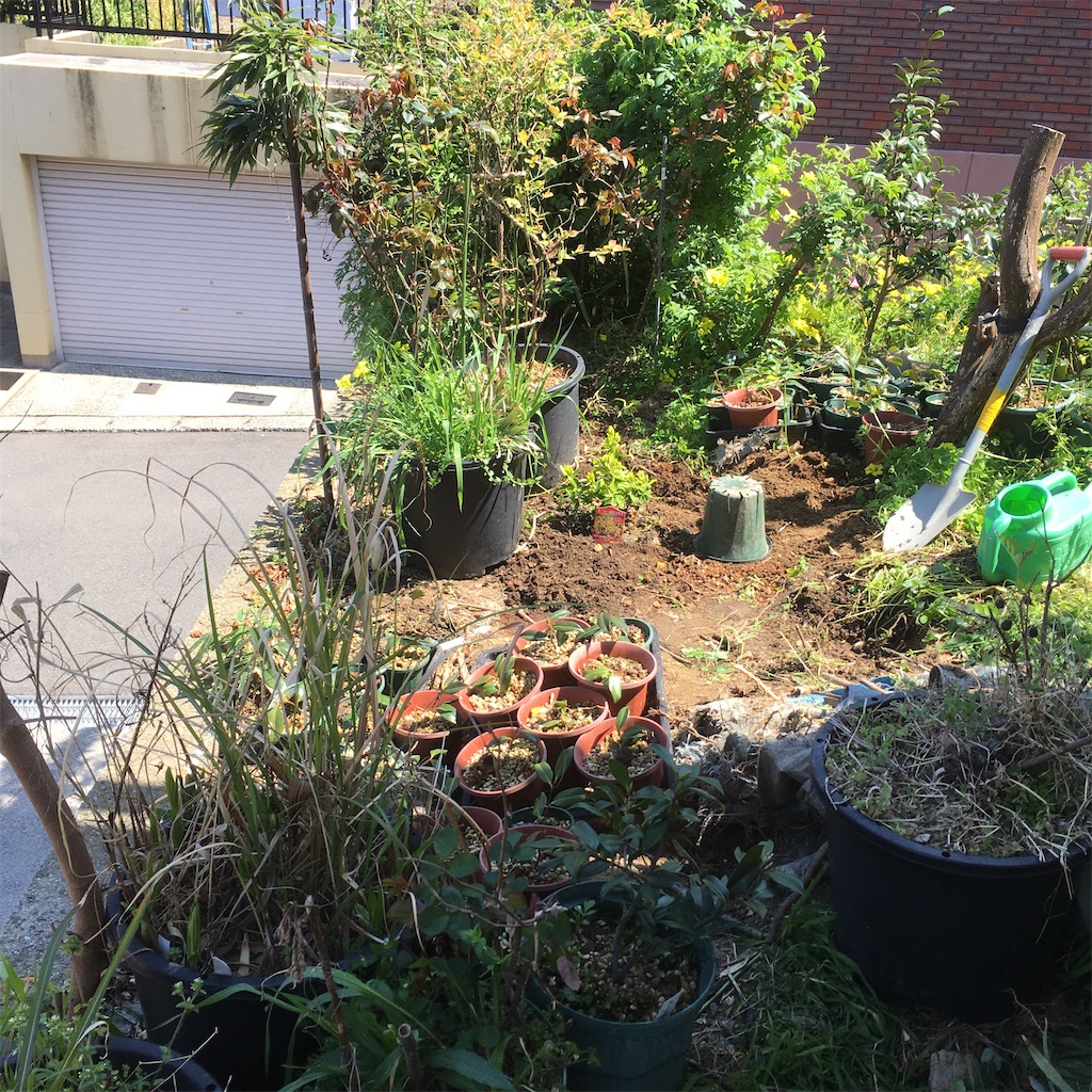 f:id:rotling:20200325120257j:image