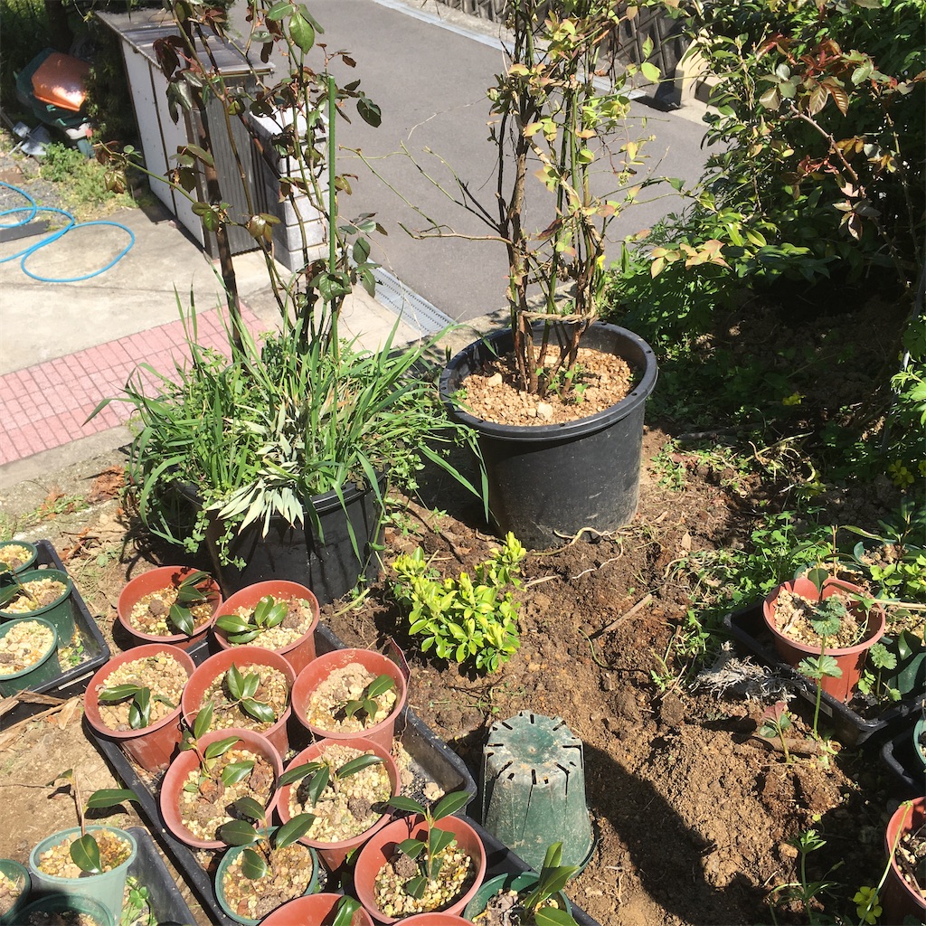 f:id:rotling:20200325120302j:image