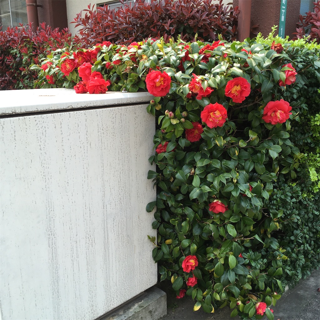 f:id:rotling:20200408220325j:image