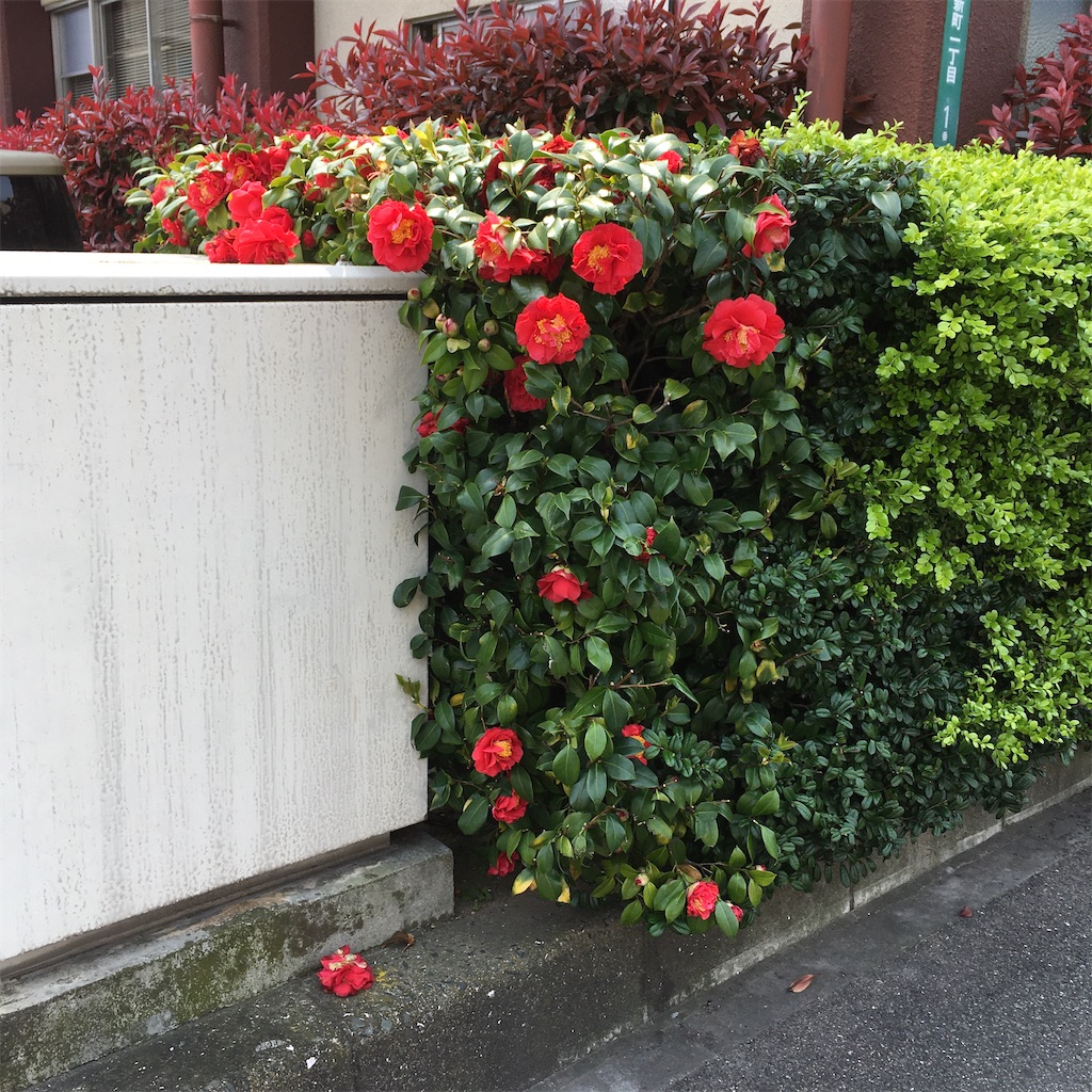 f:id:rotling:20200408220330j:image