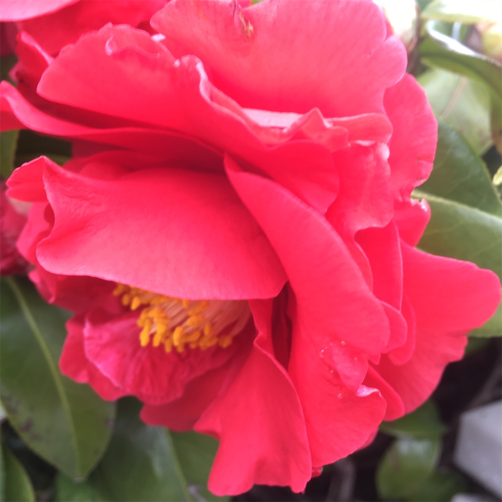 f:id:rotling:20200408220659j:image