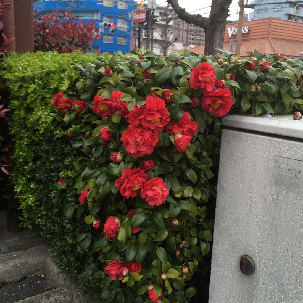 f:id:rotling:20200408220704j:image