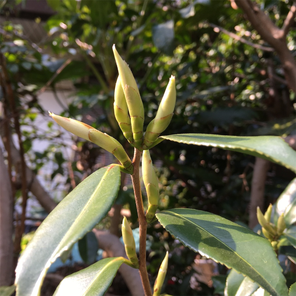 f:id:rotling:20200409095526j:image