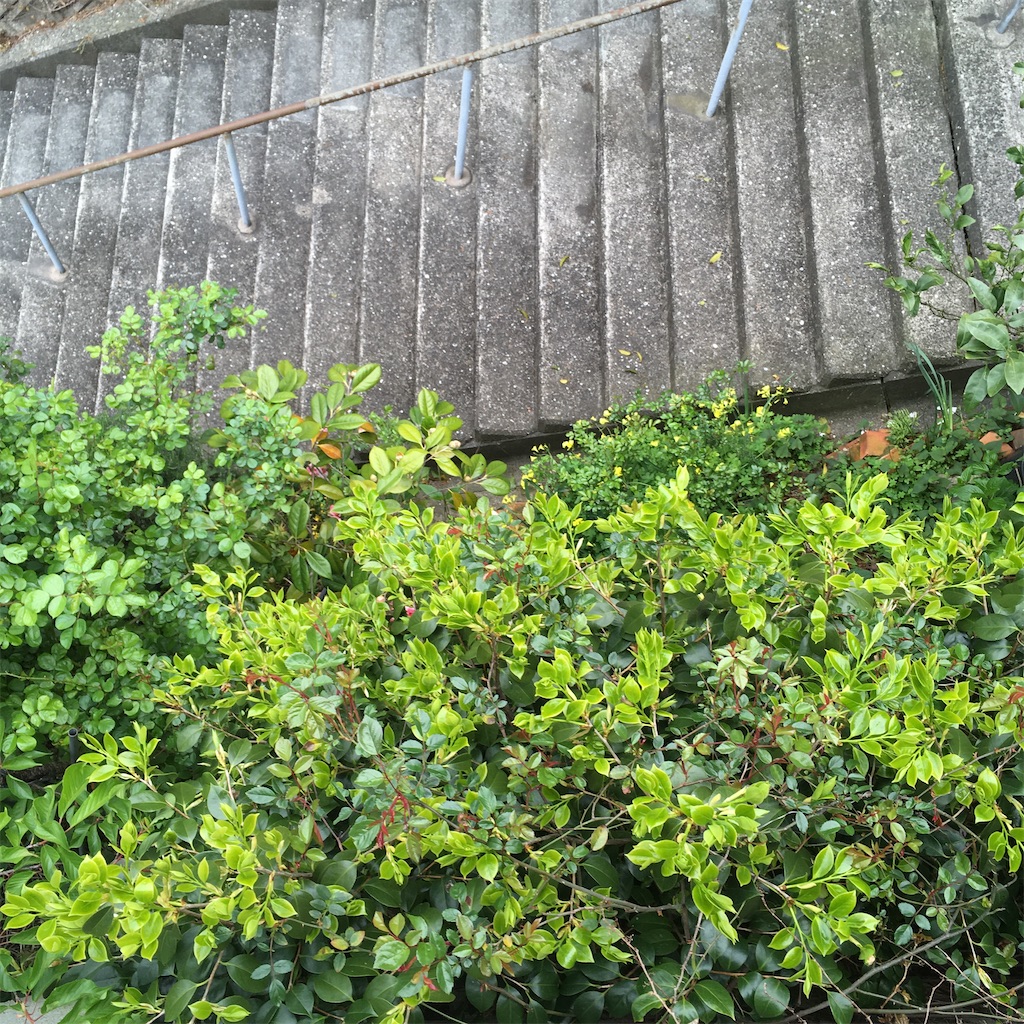 f:id:rotling:20200418104708j:image