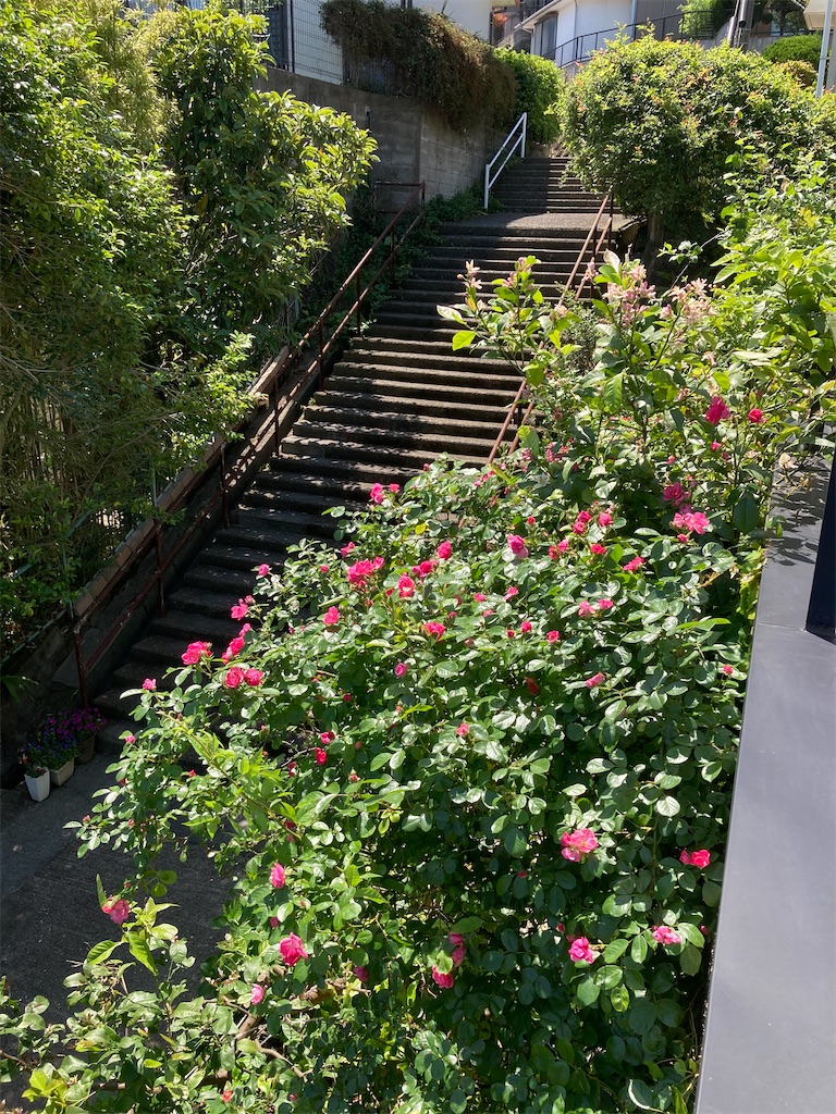 f:id:rotling:20200519104238j:image