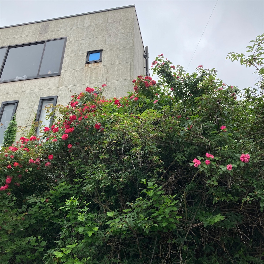 f:id:rotling:20200526124128j:image