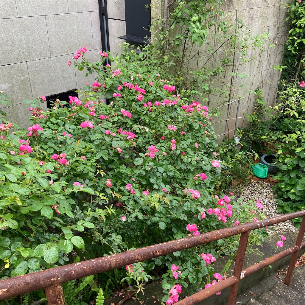 f:id:rotling:20200526124136j:image