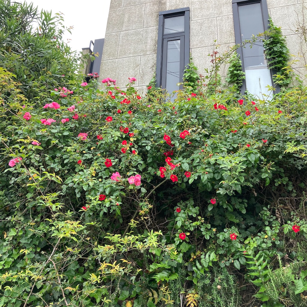 f:id:rotling:20200526124139j:image