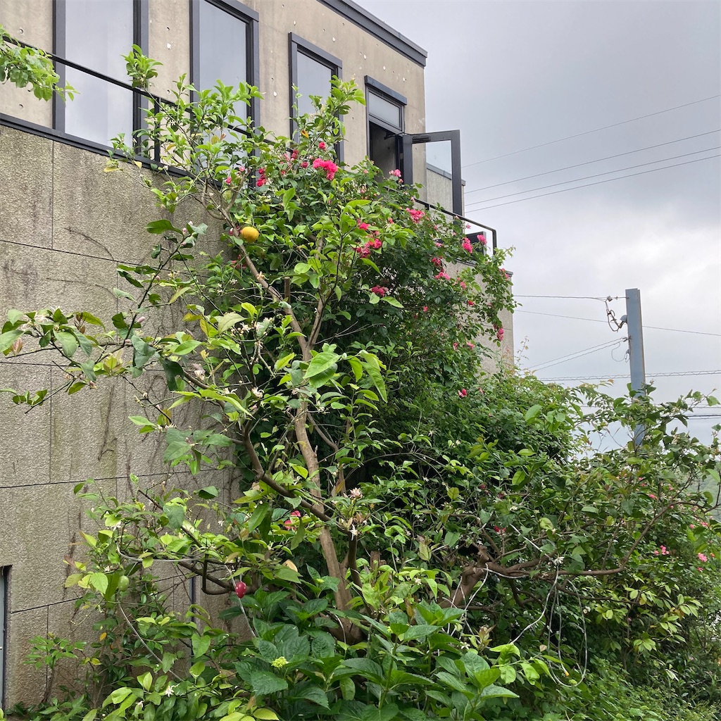 f:id:rotling:20200526124146j:image