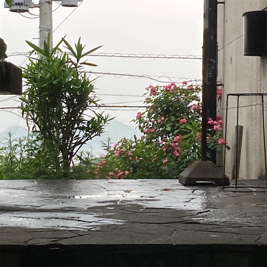 f:id:rotling:20200526124153j:image