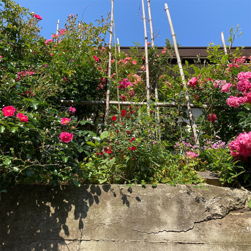 f:id:rotling:20200529092729j:image