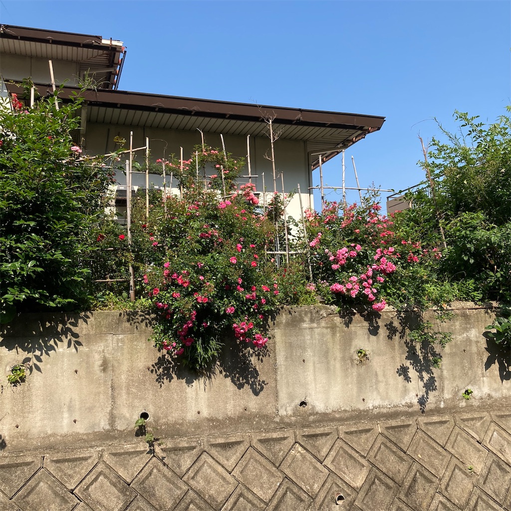 f:id:rotling:20200529094049j:image