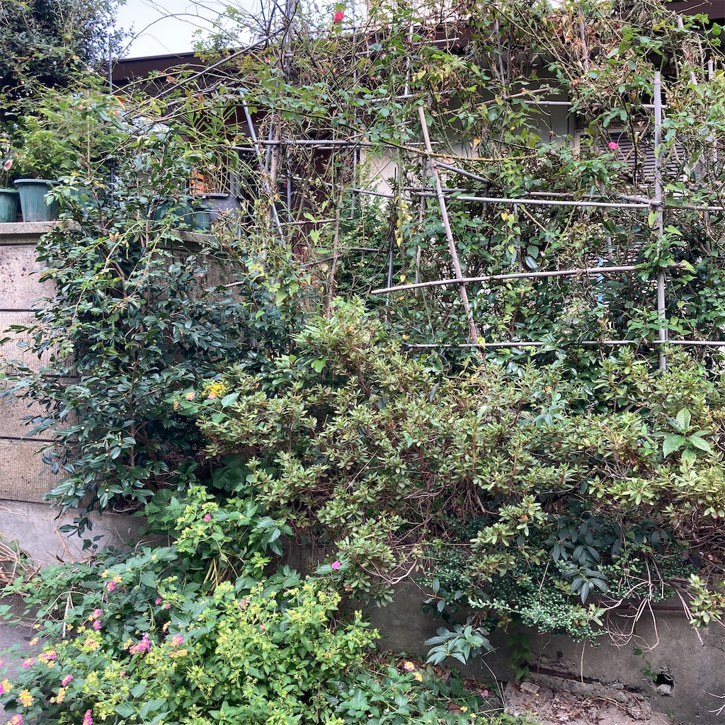 f:id:rotling:20201028103120j:image