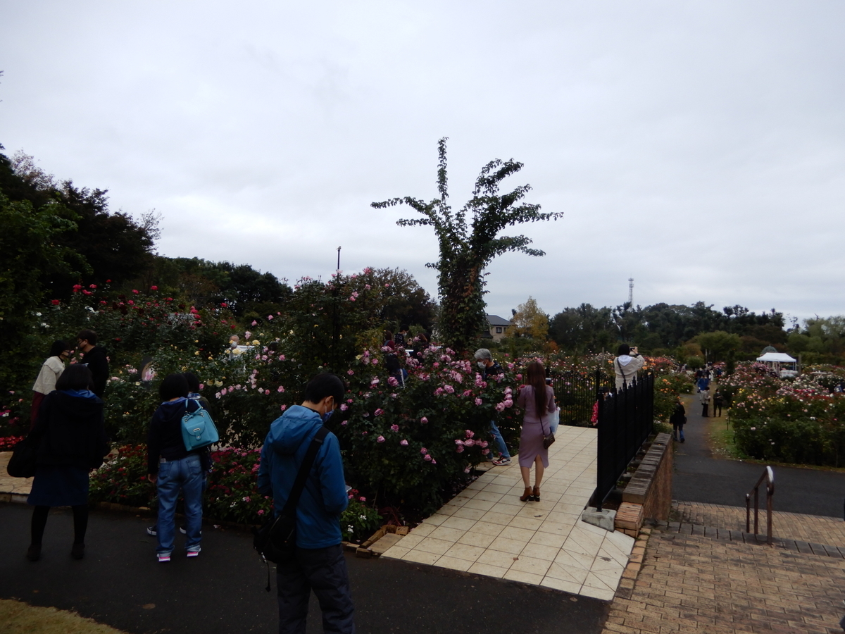 f:id:rotling:20201103114622j:plain