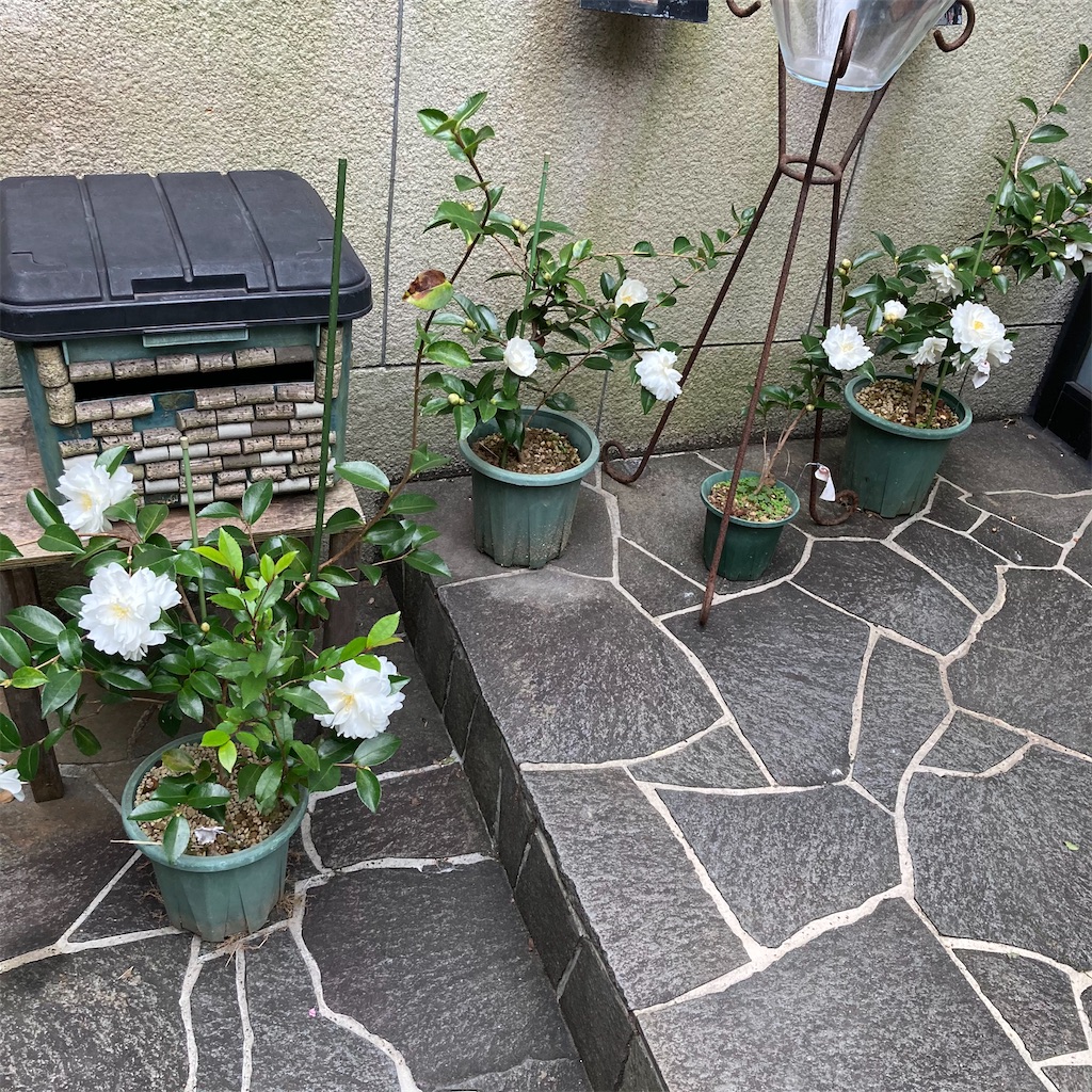 f:id:rotling:20201117085918j:image