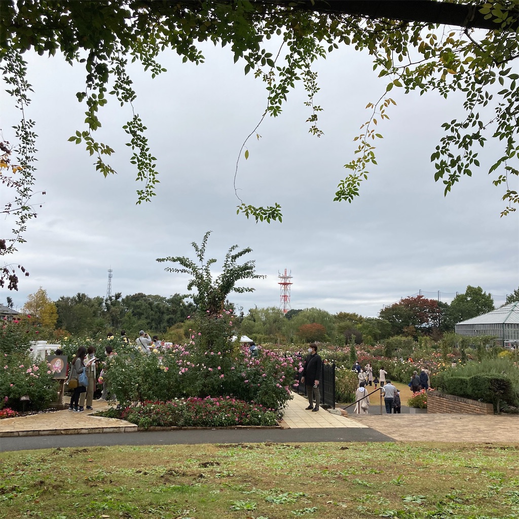 f:id:rotling:20201118230343j:image