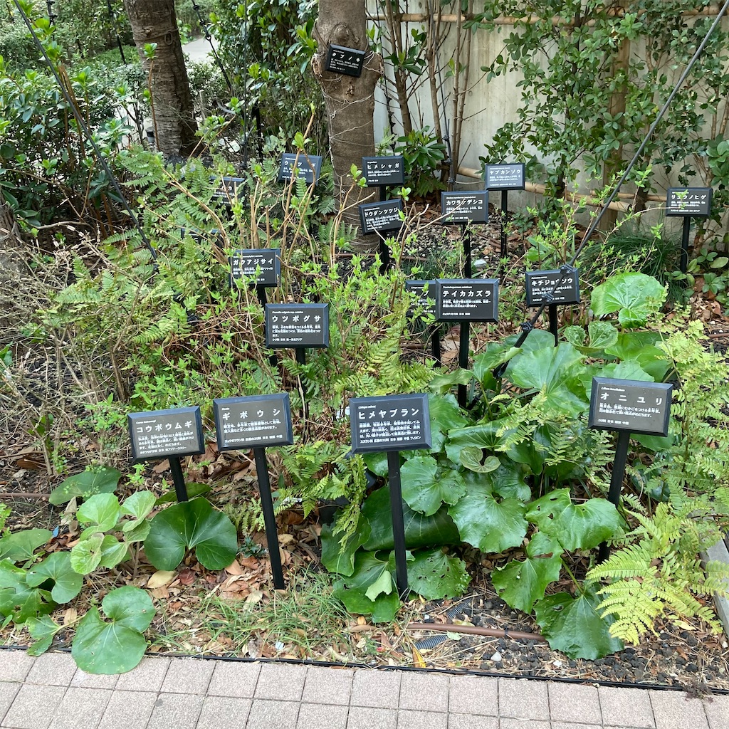 f:id:rotling:20210319212428j:image