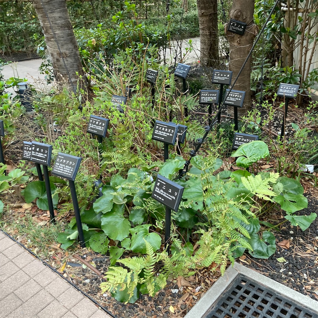 f:id:rotling:20210319212431j:image