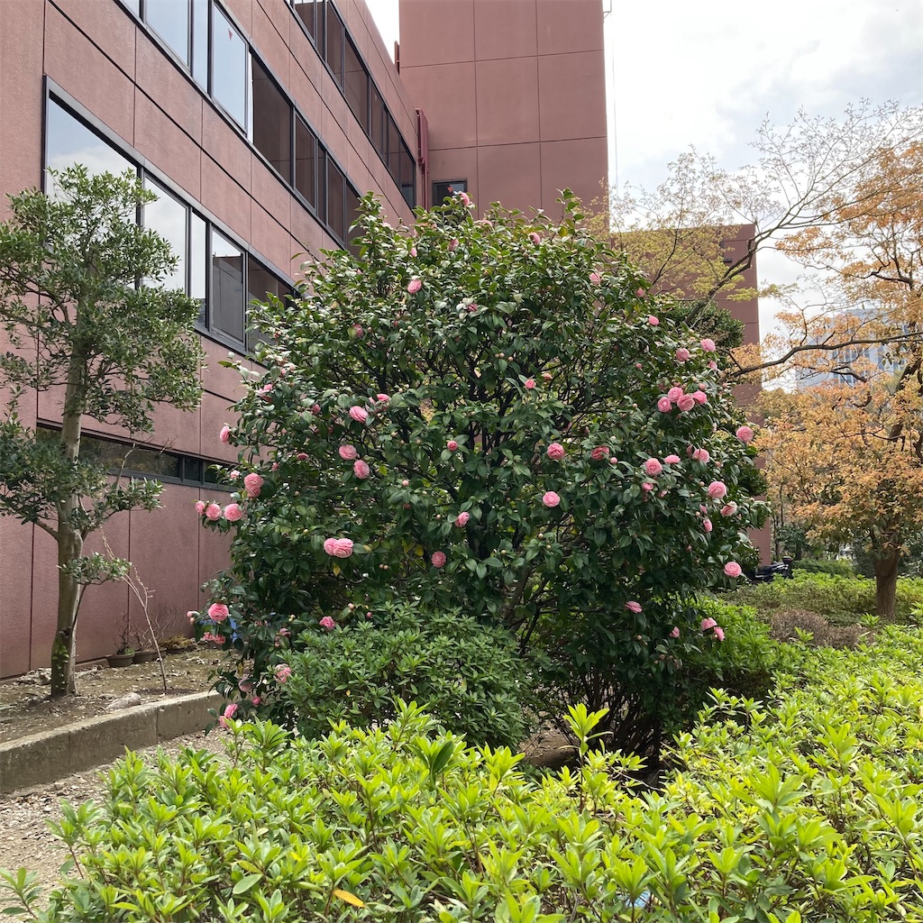 f:id:rotling:20210322084409j:image