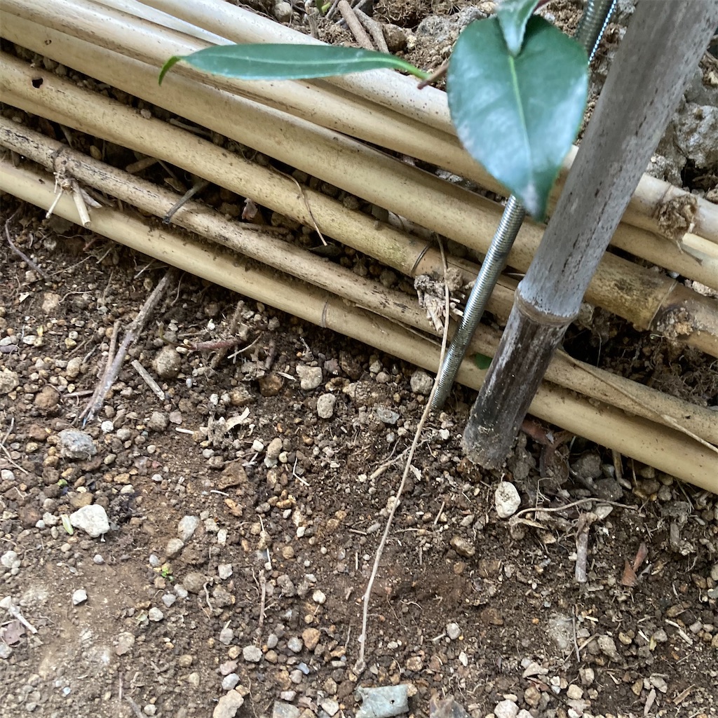 f:id:rotling:20210410081427j:image