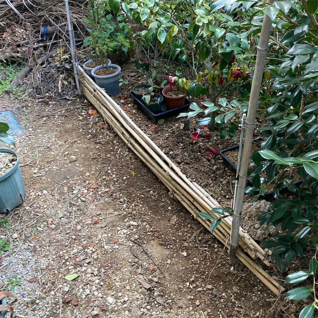 f:id:rotling:20210410081430j:image