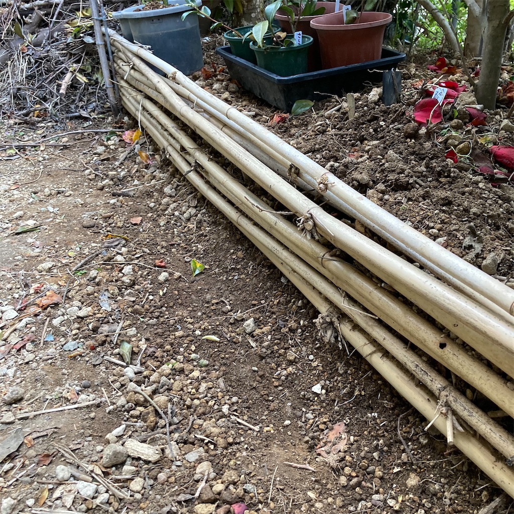 f:id:rotling:20210410081434j:image