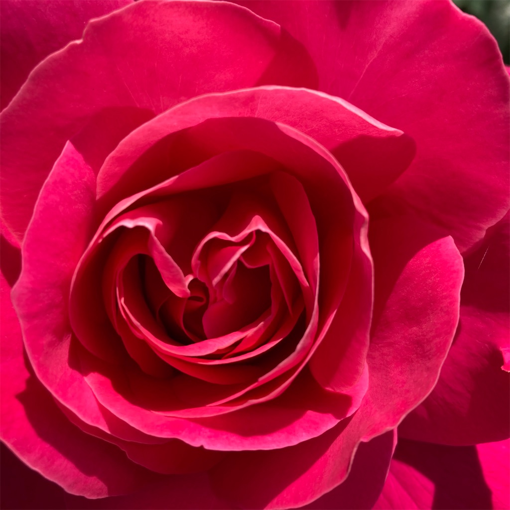 f:id:rotling:20210421084447j:image