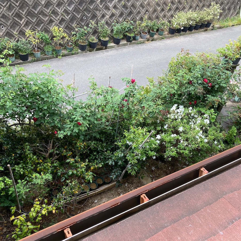 f:id:rotling:20210423090237j:image