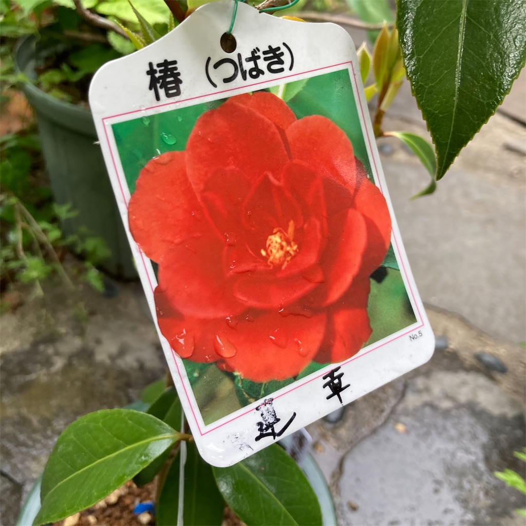 f:id:rotling:20210423171427j:image