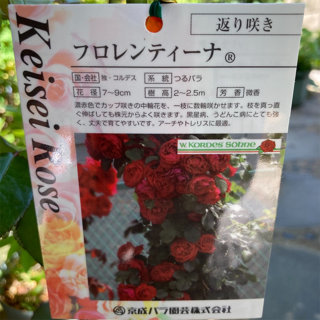 f:id:rotling:20210425143005j:image