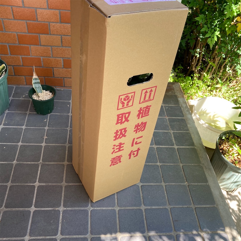 f:id:rotling:20210425143012j:image