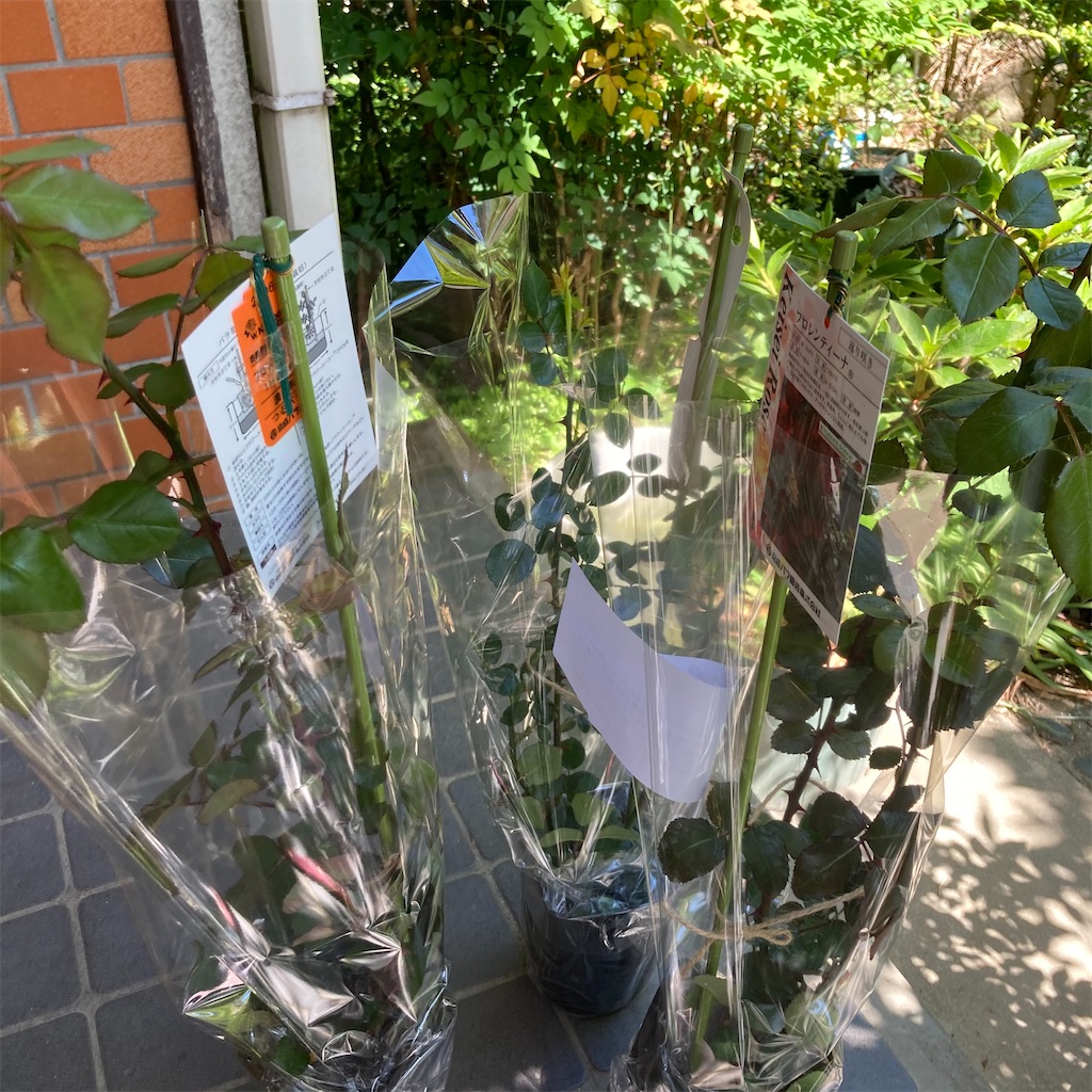 f:id:rotling:20210425143024j:image
