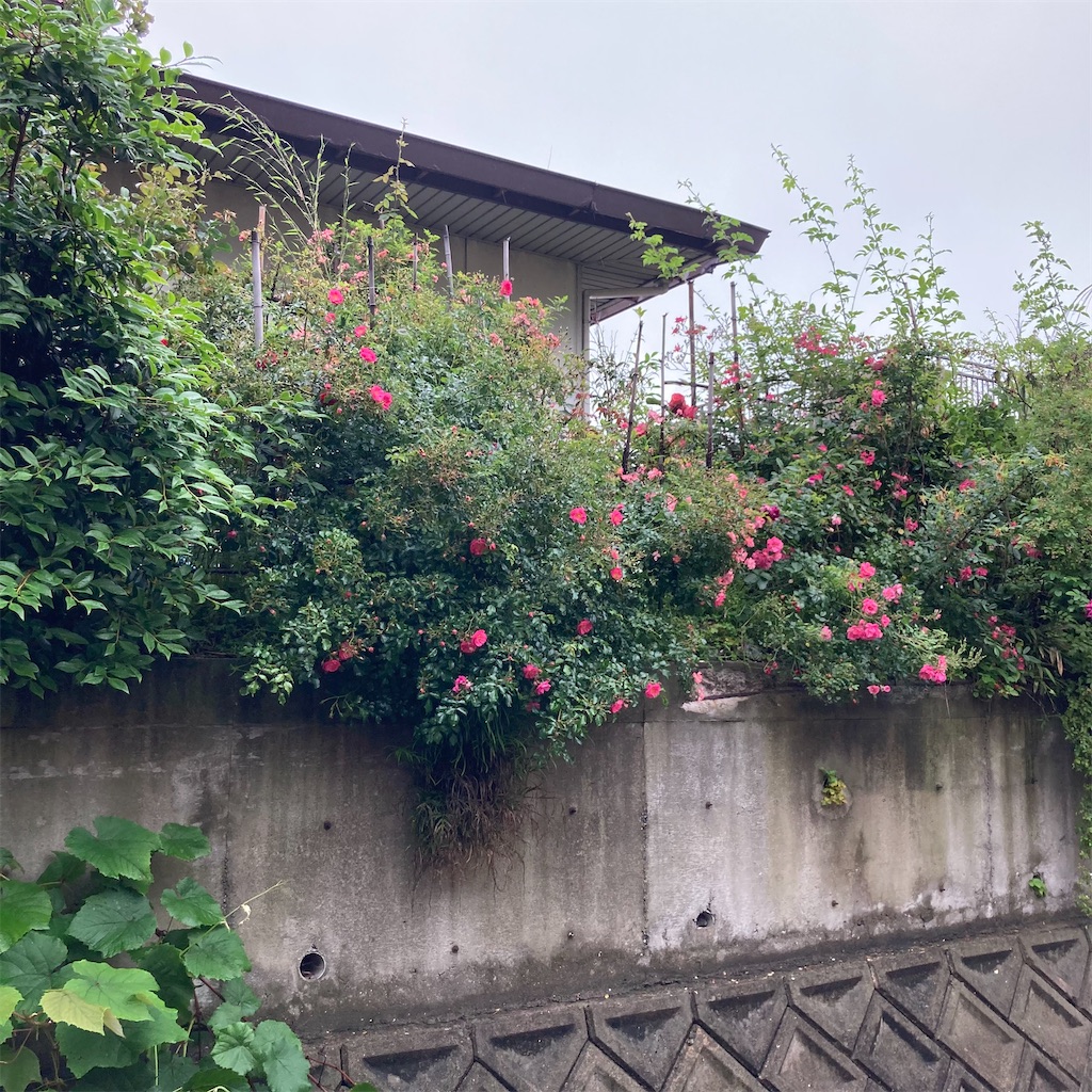 f:id:rotling:20210517123602j:image