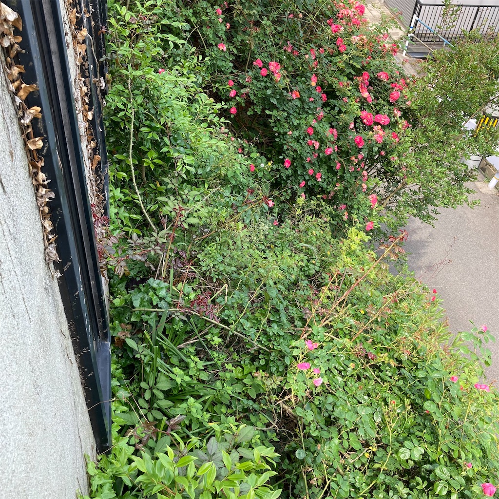 f:id:rotling:20210519105338j:image