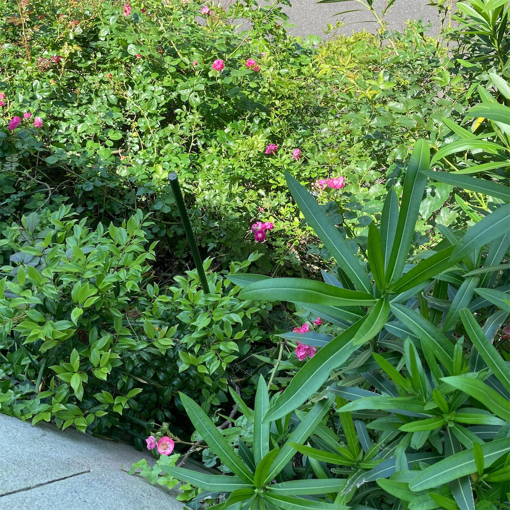 f:id:rotling:20210519133828j:image