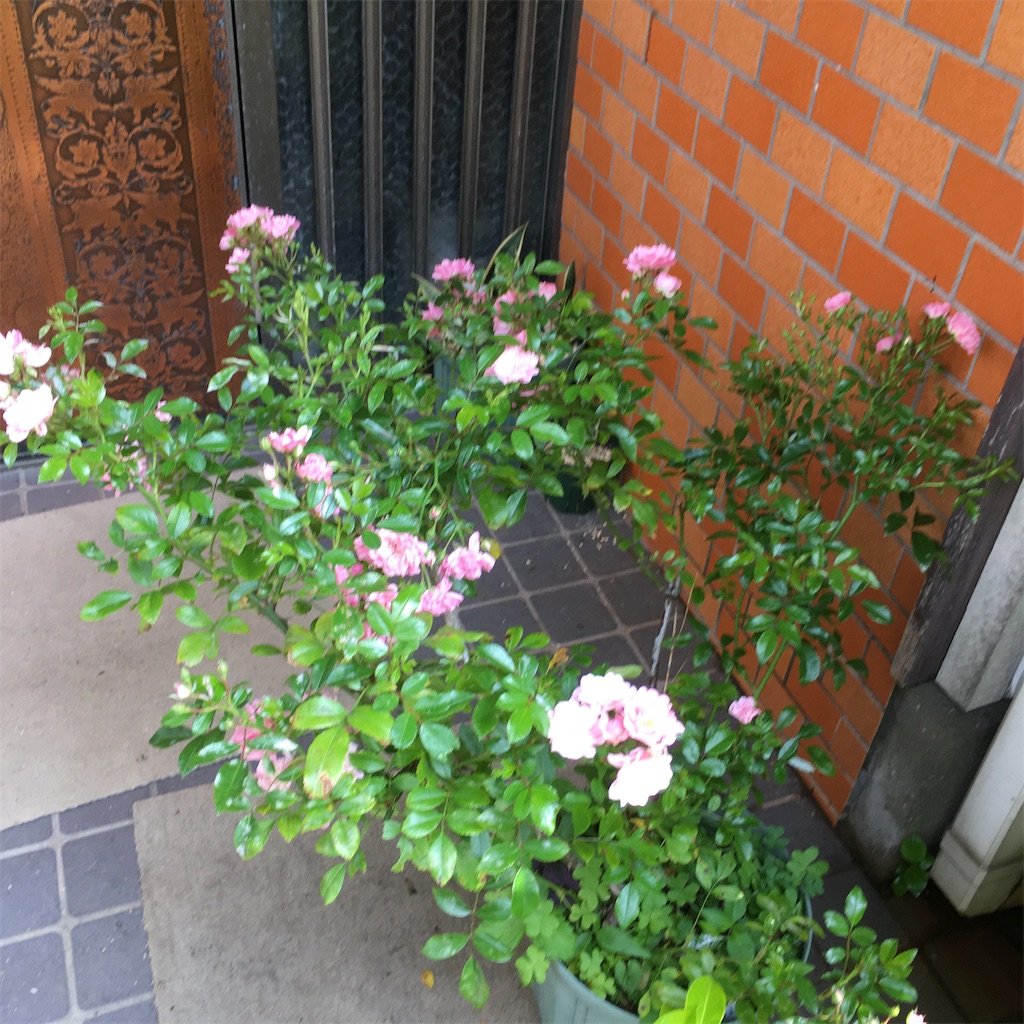 f:id:rotling:20210519221030j:image