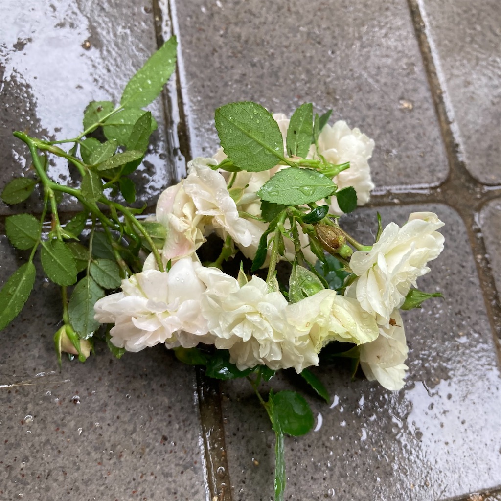 f:id:rotling:20210520145552j:image