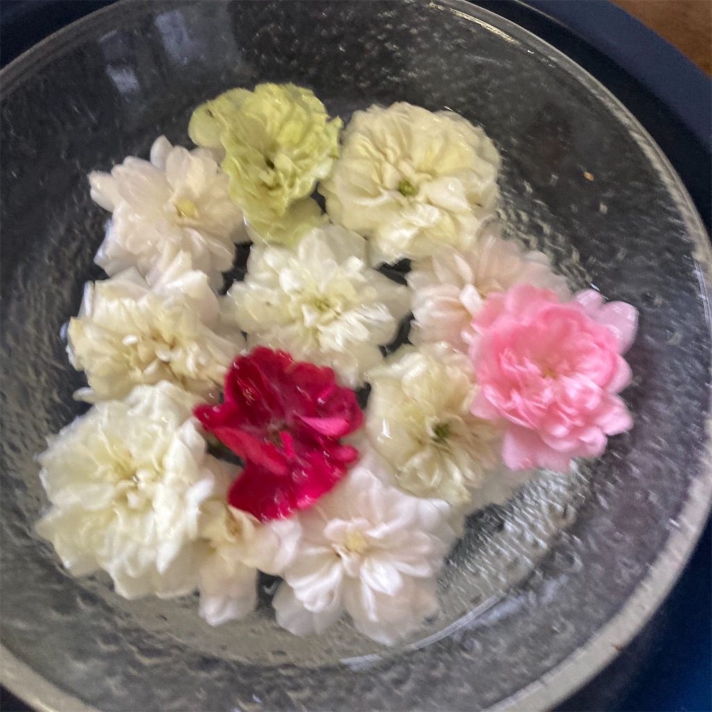 f:id:rotling:20210520150326j:image