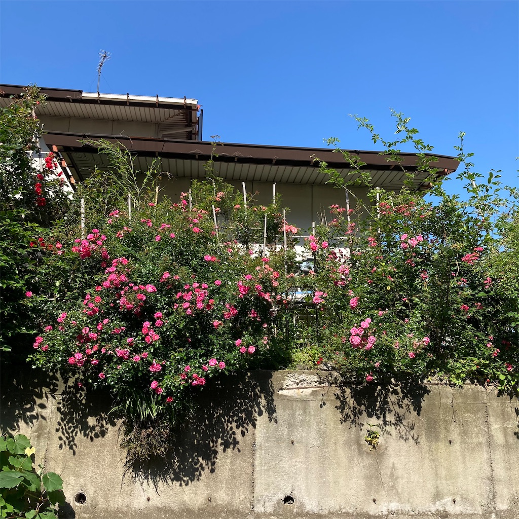 f:id:rotling:20210601004102j:image