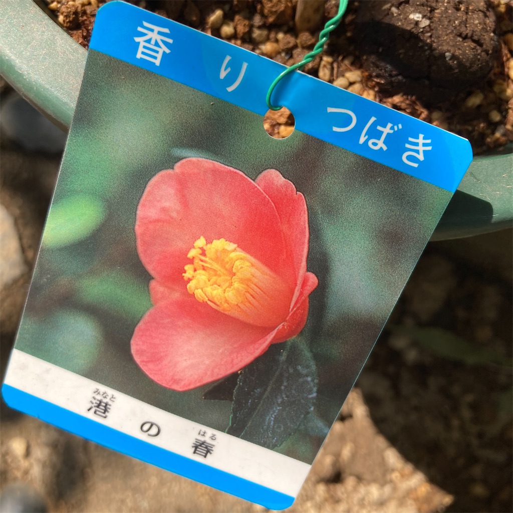 f:id:rotling:20210601010813j:image