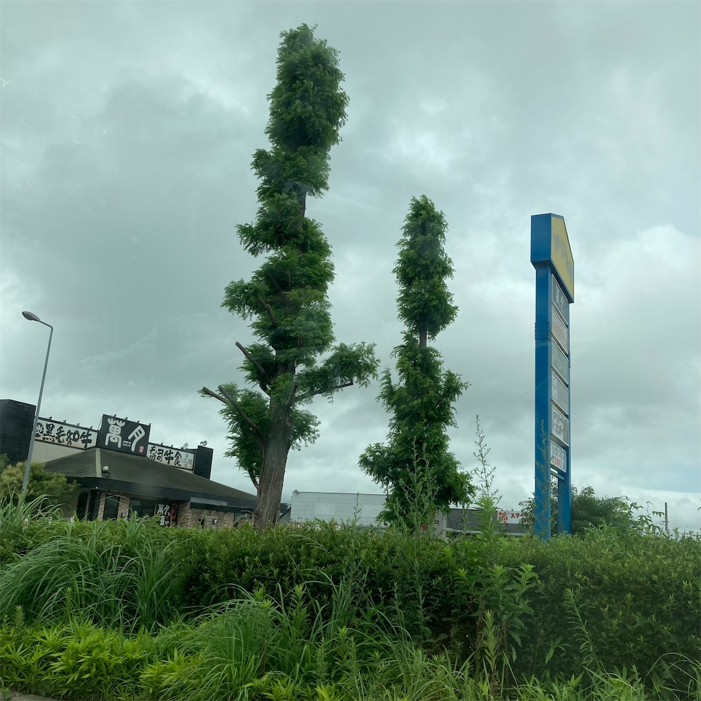 f:id:rotling:20210718200137j:image