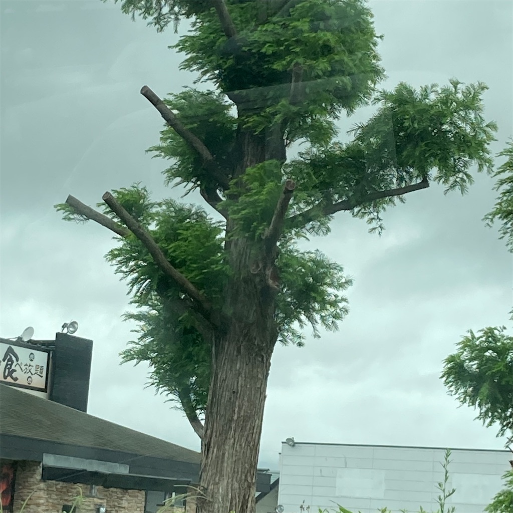 f:id:rotling:20210718200140j:image