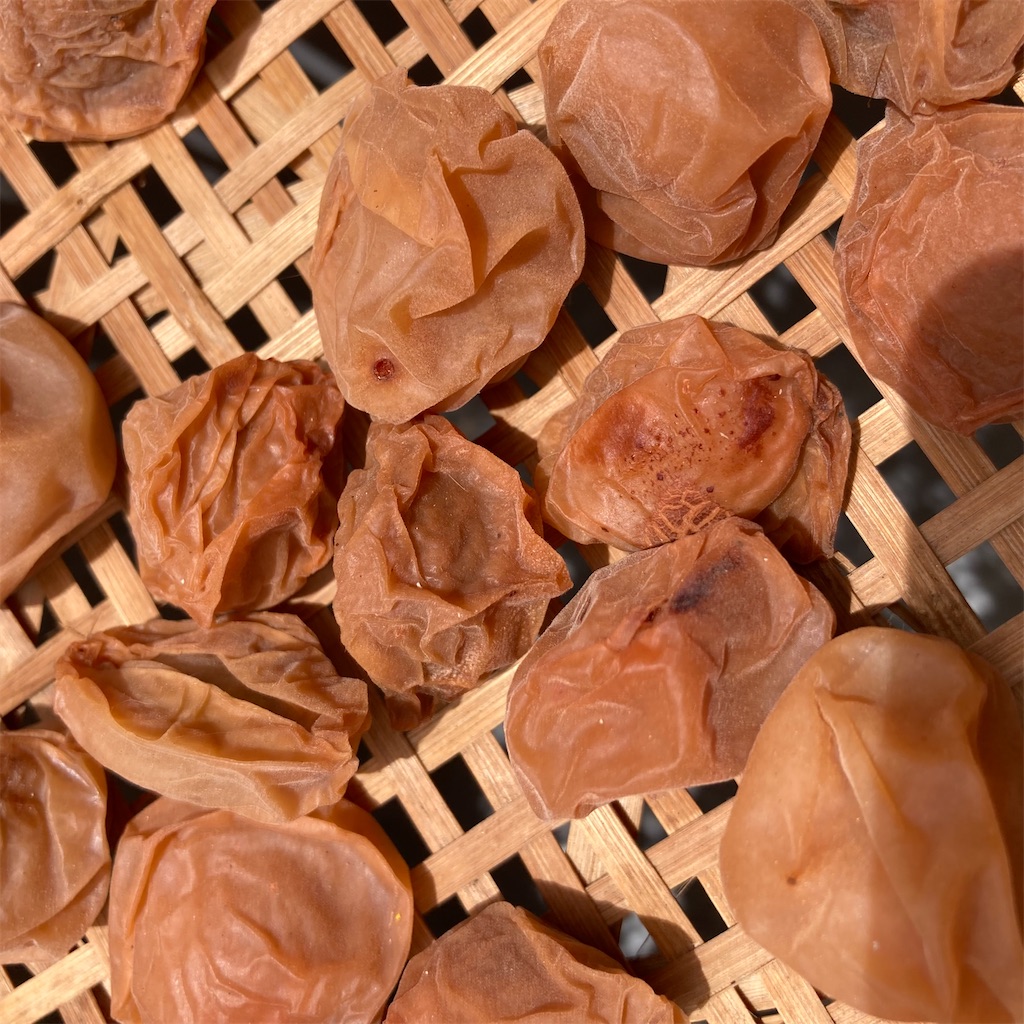 f:id:rotling:20210726225406j:image